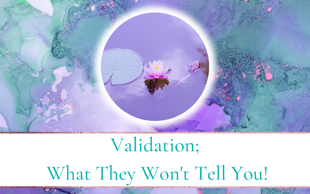 Validation; What They Won’t Tell You
